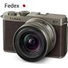 Panasonic Full-Size Mirrorless Camera Lumix DC-S9N-N Kit obiettivo...