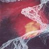 Ryan Snow Light Science (CD)