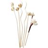 VOANZO 6 bastoncini di ricambio in rattan per diffusori di fragranze e fiori, per la decorazione della casa e l'ufficio e la decorazione fai da te della casa