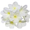 Winterworm, fiori di Plumeria artificiali in lattice dall'aspetto realistico, 10 steli, color avorio, bouquet di fiori in lattice da sposa, per feste nuziali, festival, decorazioni, bouquet bianco