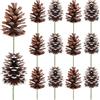 Fangoo 12Pezzi 8-12cm Pigne Naturali Pigne Decorative Grandi per Albero di Natale Utilizzato la Decorazione Domestica della Corona dei Fiori dell'artigianato fai da te di Natale del Ringraziamento