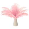 PATIKIL 8-10 Pollici(20-25cm) Piume di Struzzo, 30pz Piume Struzzo Artificiali Naturali Rinfusa per Decorazioni Centrotavola Feste Matrimonio Artigianato Rosa Chiaro (5 Larghezza)