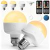 GBKDQQ 2 lampadine ricaricabili con telecomando, E27, lampadine ricaricabili, 3 colori, dimmerabili, magnetiche, rimovibili, con funzione temporizzazione
