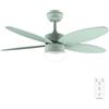 Cecotec - Ventilatore da Soffitto con Luce EnergySilence Aero 4260 Full Mint - 40 W con Motore DC e 42" con Luce LED, Telecomando, Timer, 6 Velocità e 5 Pale Reversibili