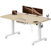 Airfish Scrivania Regolabile in Altezza 140×80cm, Scrivania Regolabile Elettricamente con Presa USB-C e Custodia Integrata per Cavi