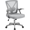 Soberine Sedia Ufficio Scrivania Ergonomica con Supporto Lombare Grigio