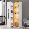 Soweiz Libreria e vetrina Armadio Multifunzione Altezza 160 cm con ante in Vetro Temperato Telaio Porta in Alluminio 1 Porta 1 Porta 1 Cassetto Laterale con Ruote e Illuminazione LED