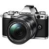 Olympus OM-D E-M5 Mark II Kit, Fotocamera di Sistema Micro Quattro Terzi (16,1 MP, Stabilizzatore d'Immagine a 5 Assi, Mirino Elettronico) e Obiettivo M.Zuiko Digital ED 14-150mm F4-5.6 Zoom, Argento
