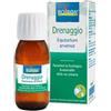 Boiron Estratti di Piante Equisetum arvense Boiron - Integratore Alimentare Per Drenaggio, Diuresi, Pelle, Ossa, Contro la Ritenzione Idrica.