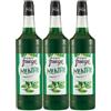 Wine And More Sciroppo Fuego Verde Menta - 3 x 1L