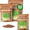 ZenGreens® Semi di ravanello daikon biologico - Scegli tra 200g e 500g