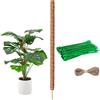 sukevitor Monstera - Asta per piante rampicanti, 80 cm, in cocco, flessibile, per Monstera, con accessori, asta per piante rampicanti, supporto naturale per piante rampicanti