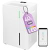 Turbionaire Deumidificatore Casa Muffa Turbionaire LEVI 40 WIFI ION 40L/giorno, Purificazione tramite ionizzazione, Deumidificazione Smart, Tanica da 5,3L, Controllo APP, Doppio drenaggio, Ruote Piroettanti, 85㎡