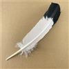 KALGHI 10 Pz/lotto Vere Piume D'Aquila Naturali Per La Decorazione Artigianato Tacchino Fagiano Uccello Gufo Piume Decorazione Piume Accessori Carnevale-25-30 Cm 10-12 Pollici,10Pcs