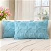 Artscope 2 Pezzi Stella del Mare e Conchiglie Federe in Lana Corta Velluto Copricuscini Morbido Decorativo Fodere per Cuscino Vacanza Stile per Divano Camera da Letto Azzurro Chiaro 30x50 cm