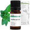 Aroma Labs Menta Verde BIO (Mentha spicata) - 5 mL - Olio Essenziale Chemiotipizzato e Certificato AB - Aroma Labs - Made in France