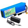 FREEDOH Batteria al Litio Ricaricabile da 48 V con Caricabatterie