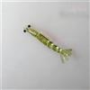 HaloModora Set di 10 esche morbide per gamberetti, 40 mm, flessibili, per spigola, trota, pesca d'acqua dolce e salata (verde, 20 pezzi, 0,4 g, 40 mm)