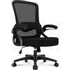 Hoolamyie Sedia Ufficio Ergonomica, Sedia da Scrivania in Rete con Supporto Lombare 4D, Braccioli Ribaltabili 90°, Schienale Alto, Altezza Regolabile, Basculante 90°-125°, Portata 130 kg