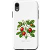 The Botany Bureau Custodia per iPhone XR Illustrazione della pianta di fragola Fragaria × ananassa