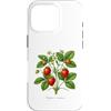 The Botany Bureau Custodia per iPhone 16 Pro Illustrazione della pianta di fragola Fragaria × ananassa