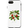 The Botany Bureau Custodia per iPhone SE (2020) / 7/8 Illustrazione della pianta di fragola Fragaria × ananassa