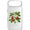 The Botany Bureau Custodia per iPhone Air Illustrazione della pianta di fragola Fragaria × ananassa