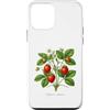 The Botany Bureau Custodia per iPhone 12 mini Illustrazione della pianta di fragola Fragaria × ananassa