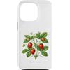 The Botany Bureau Custodia per iPhone 13 Pro Illustrazione della pianta di fragola Fragaria × ananassa