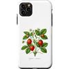 The Botany Bureau Custodia per iPhone 11 Pro Max Illustrazione della pianta di fragola Fragaria × ananassa