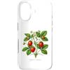 The Botany Bureau Custodia per iPhone 17 Illustrazione della pianta di fragola Fragaria × ananassa