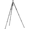 Gitzo GT2540LLVL Treppiedi Leveling Carbonio 6X, 4 Sezioni con G-Lock, Nero/Antracite
