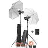 Elinchrom D-Lite RX 2/4 To Go