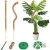 CNMTCCO Monstera - Tutore, 60 cm, tutor per piante, tutor in cocco, tutor per piante rampicanti con accessori, palo da coltivazione per piante rampicanti Monstera per giardino familiare