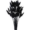 FENGCHUANG 50 Pezzi Decorazione in Erba di Pampas Essiccata Pianta Boho Fiori Secchi Naturali Pampas Decorative per Matrimonio Fiori Boho Decorazione Della Tavola Domestica (Nero)