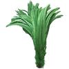 LONDGEN 50 piume di coda di gallo, verde scuro, 30,5-35,6 cm, per spettacoli teatrali e decorazioni per costumi