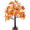KASZOO Decorazione autunnale a forma di foglia d'acero con 24 LED, 60 cm, decorazione per interni e autunno, con timer e USB e funzionamento a batteria, decorazione per Halloween, per matrimoni,
