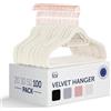 Blumtal Grucce Appendiabiti in Velluto, Grucce Salvaspazio nell'Armadio, Appendini con Gancio Rotante 360°, Stampelle Armadio per Pantaloni, Rosa, 100 Pezzi