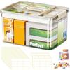 Mapille Scatola Porta Medicinali a Doppio, 32x22x17cm Porta Medicine da Casa in Plastica con Manici e Etichetta Adesiva Contenitore Portatile per Medicinali Scatola Organizzatore Farmacia in Plastica