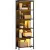 HOMCOM Libreria a 5 livelli con illuminazione LED a 7 colori, scaffale portaoggetti, struttura in acciaio, stile industriale, mobile contenitore per soggiorno, scrivania, camera da letto, 60x30 cm,