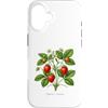 The Botany Bureau Custodia per iPhone 16 Illustrazione della pianta di fragola Fragaria × ananassa