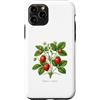 The Botany Bureau Custodia per iPhone 11 Pro Illustrazione della pianta di fragola Fragaria × ananassa