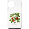 The Botany Bureau Custodia per iPhone 12/12 Pro Illustrazione della pianta di fragola Fragaria × ananassa