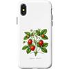 The Botany Bureau Custodia per iPhone X/XS Illustrazione della pianta di fragola Fragaria × ananassa