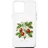 The Botany Bureau Custodia per iPhone 12 Pro Max Illustrazione della pianta di fragola Fragaria × ananassa