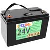 FREEDOH Batteria al Litio Ferro fosfato da 24 V