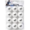 topolenashop 12 Pezzi Palline da Ping Pong Bianche 40 mm in PP - Qualità 1 Stella secondo Specifiche ITTF - Set per Allenamento, Club, Tempo Libero, Partite Amatoriali e Appassionati di Sport | 06473