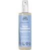Urtekram Balsamo Spray Senza Profumo - Formula Organica Delicata con Ingredienti 100 % Naturali, Estratti Lenitivi di Aloe Vera, Balsamo Leave-in - 250 ml (Confezione da 1)