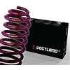 Vogtland KIT molle assetto TUNING RIBASSATO 207 207 CC 12.05 > 3.12