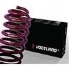 Vogtland kit molle assetto rribassa Primera P10 2.0 & diesel 11.90 > 9.96